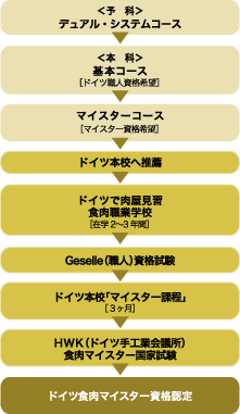 (�\��)�f���A���E�V�X�e���R�[�X&rarr;(�{��)��{�R�[�X�u�h�C�c�E�l���i��]�v&rarr;�}�C�X�^�[�R�[�X�u�}�C�X�^�[���i��]�v&rarr;�h�C�c�{�Z�֐��E&rarr;�h�C�c�œ������K�H���E�Ɗw�Z�u�݊w2�`3�N�ԁv&rarr;Geselle(�E�l)���i����&rarr;�h�C�c�{�Z�u�}�C�X�^�[�ߒ��v[�R����]&rarr;HWK(�h�C�c��H�Ɖ�c��)�H���}�C�X�^�[���Ǝ���&rarr;�h�C�c�H���}�C�X�^�[���i�F��